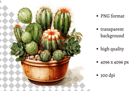 Download Potted Cactus PNG Illustration - Cactus png Collection