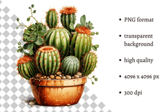Download Potted Cactus PNG Illustration - Cactus png Collection