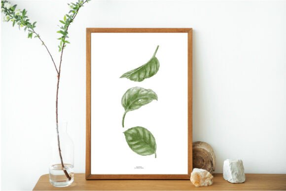 Download Green Leaves Print, Printable Art, Leaf - Green Collection