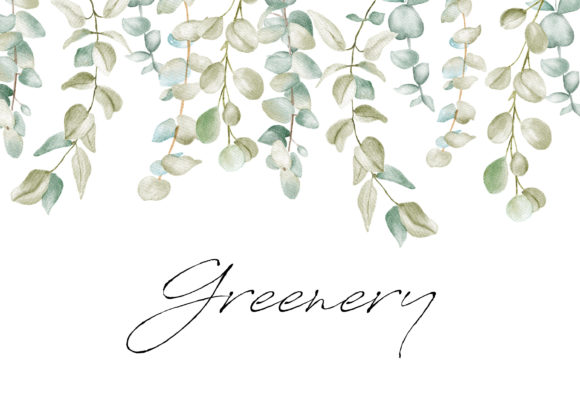 Download Watercolor Greenery Eucalyptus Clipart - Green Collection