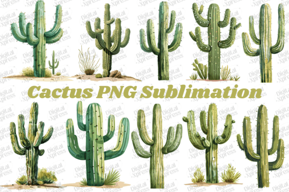 Download Cactus PNG Sublimation - Cactus png Collection