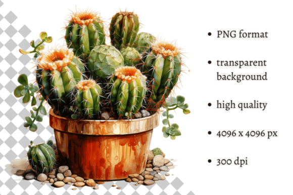 Download Potted Cactus PNG Illustration - Cactus png Collection